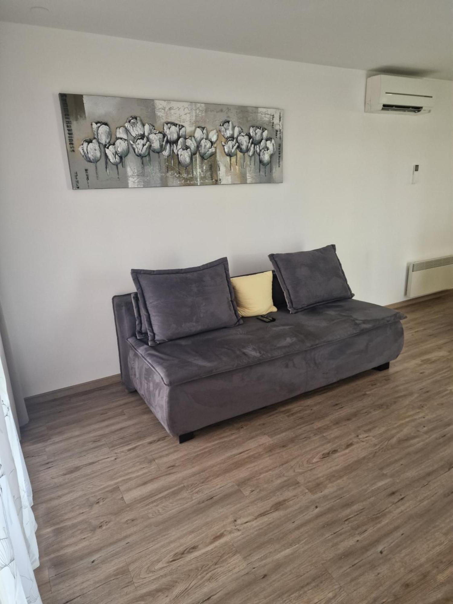 Family Apartment Moravske Toplice Exterior photo